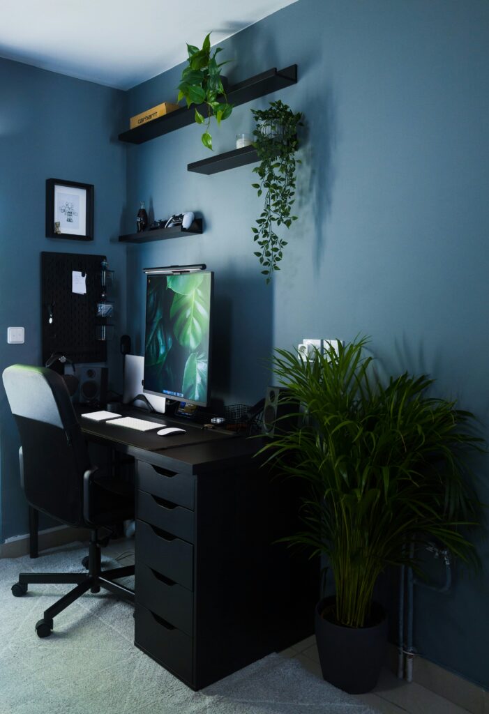 gaming setup